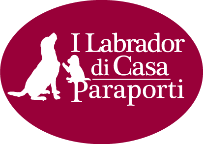 Paraporti
