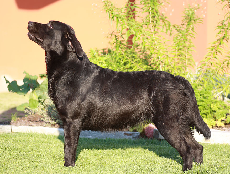 Trudy di Casa Paraporti